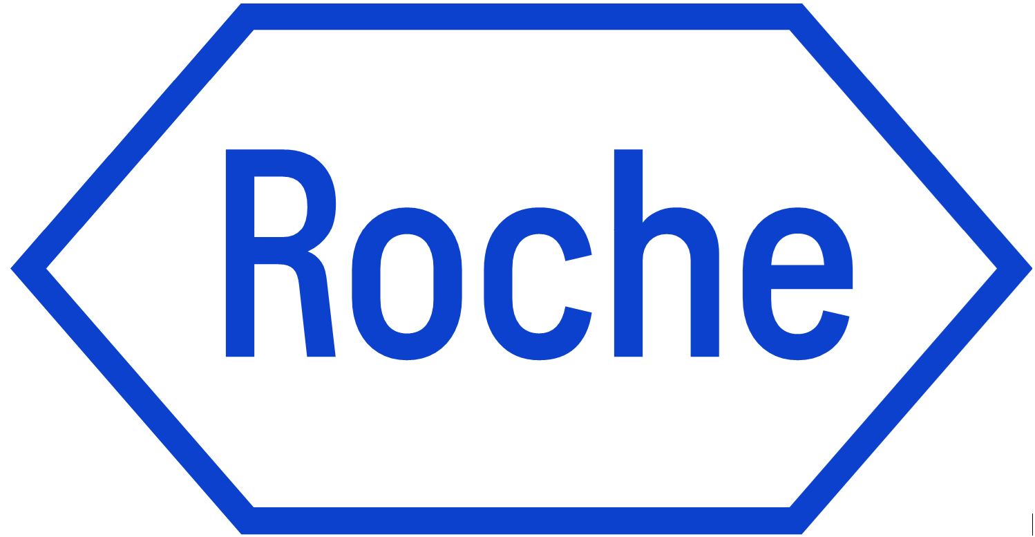Schach  SC Roche